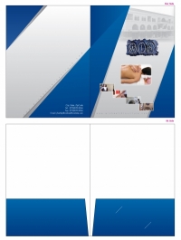 Custom Best Folder Printing Company
